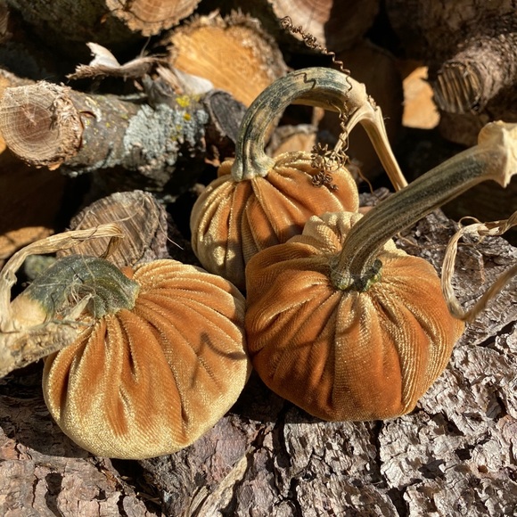 Velvet pumpkins - Picture 2 of 5